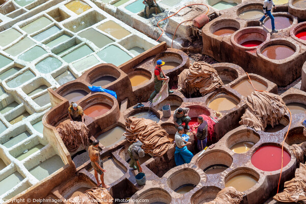 Colorful old leather tanneries of Fez, Morocco Picture Board by Delphimages Art