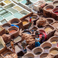 Buy canvas prints of Colorful old leather tanneries of Fez, Morocco by Delphimages Art