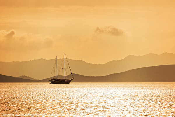 Sailing boat in gold at sunset Picture Board by Delphimages Art
