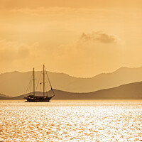 Buy canvas prints of Sailing boat in gold at sunset by Delphimages Art