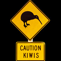 Buy canvas prints of Caution kiwis, New Zealand road sign by Delphimages Art