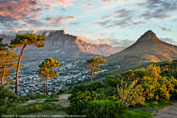 Signal Hill in Cape town at sunset, South Africa Picture Board by Delphimages Art