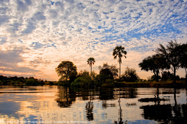 Palm trees on the Zambezi river at sunset, Zambia Picture Board by Delphimages Art