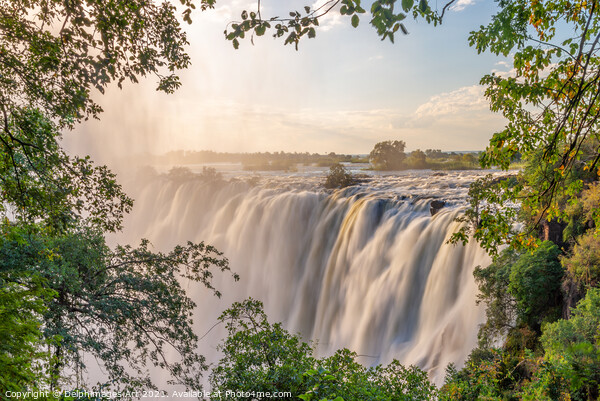 Victoria Falls landscape on Zambezi river Picture Board by Delphimages Art