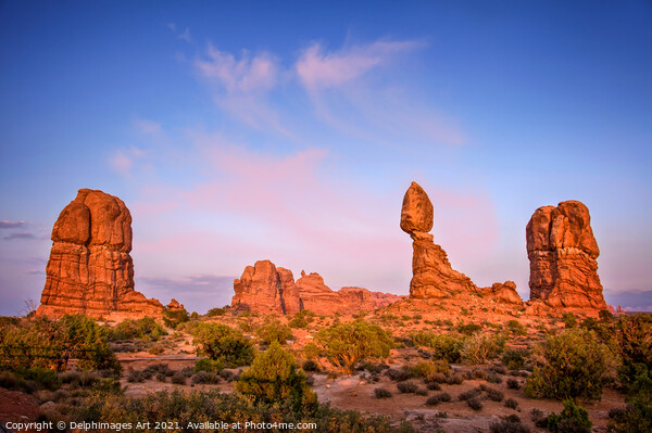 Arches National park. Balanced rock at sunset Utah Picture Board by Delphimages Art