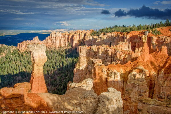 Bryce Canyon National Park landscape, Utah, USA Picture Board by Delphimages Art