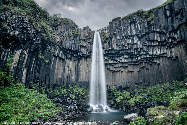 Iceland. Svartifoss scenic waterfall in Skaftafell Picture Board by Delphimages Art