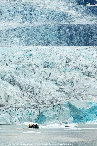 Iceland. Zodiac boat in glacier lagoon Picture Board by Delphimages Art