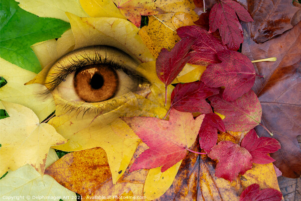 Eye and leaves Autumn surreal  collage Picture Board by Delphimages Art