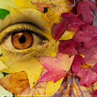 Buy canvas prints of Eye and leaves Autumn surreal  collage by Delphimages Art