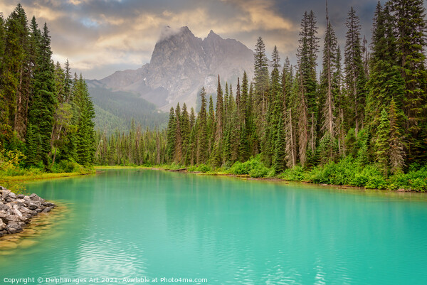 Canada. Emerald lake landscape, Yoho national park Picture Board by Delphimages Art