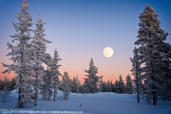 Moon rising, winter landscape Picture Board by Delphimages Art