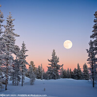 Buy canvas prints of Moon rising, winter landscape by Delphimages Art