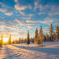 Buy canvas prints of Winter sunset, snowy landscape in Lapland by Delphimages Art