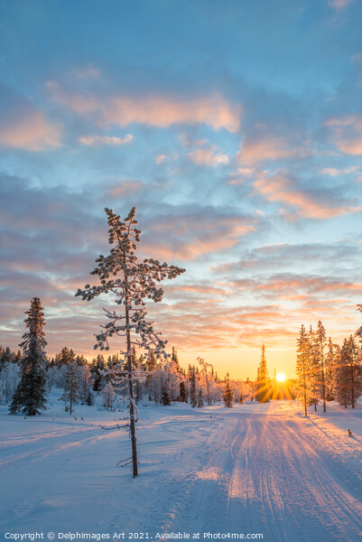 Snowy landscape at sunset in winter, Finland Picture Board by Delphimages Art