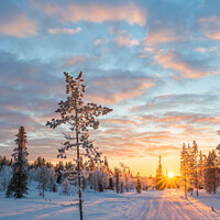 Buy canvas prints of Snowy landscape at sunset in winter, Finland by Delphimages Art