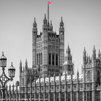 Buy canvas prints of London, The Houses of Parliament by Delphimages Art