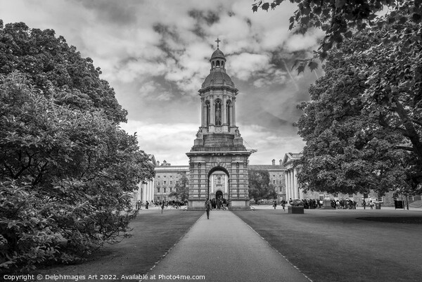 Trinity College, Dublin Picture Board by Delphimages Art