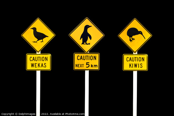 New Zealand road signs Picture Board by Delphimages Art