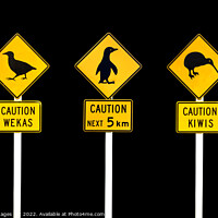 Buy canvas prints of New Zealand road signs by Delphimages Art