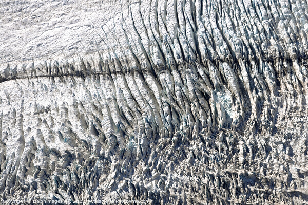 New Zealand, Fox glacier Picture Board by Delphimages Art