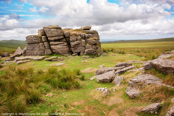 Dartmoor. South Hessary Tor near Princeton Picture Board by Delphimages Art