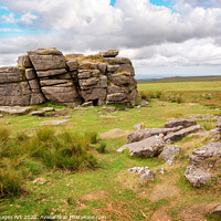 Buy canvas prints of Dartmoor. South Hessary Tor near Princeton by Delphimages Art
