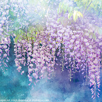 Buy canvas prints of Wisterias blossom in spring by Delphimages Art