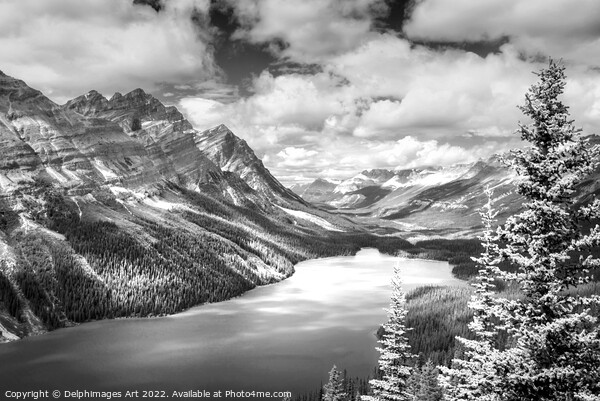 Canada. Peyto lake, Banff National Park Picture Board by Delphimages Art