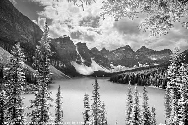 Canada. Moraine lake, black and white Picture Board by Delphimages Art