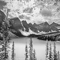 Buy canvas prints of Canada. Moraine lake, black and white by Delphimages Art