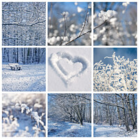 Buy canvas prints of Winter landscapes and snow collage by Delphimages Art