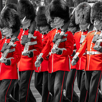 Buy canvas prints of Guards changing parade in London by Delphimages Art