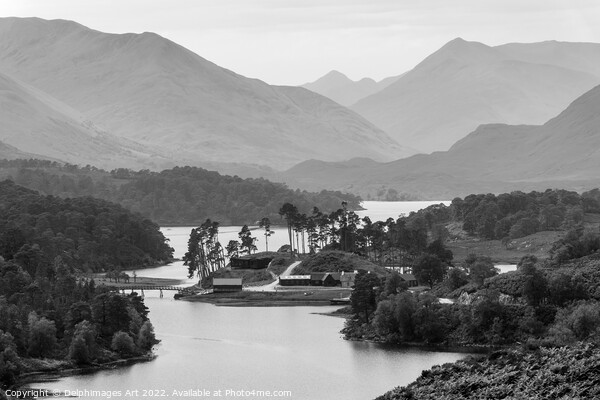 Highlands, Scotland. Glen Affric view point panora Picture Board by Delphimages Art
