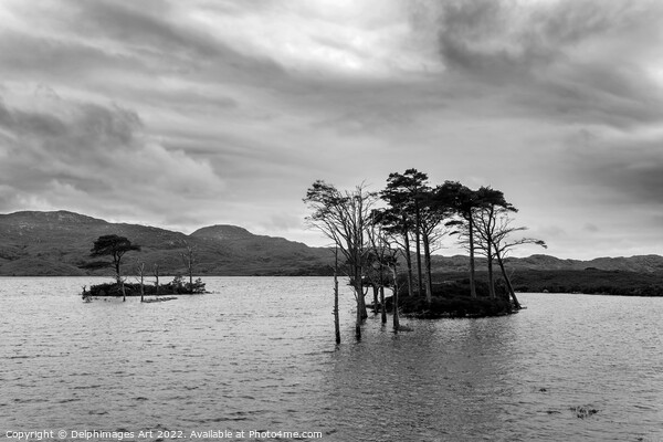 Loch Assynt in North West Highlands, Scotland, UK Picture Board by Delphimages Art