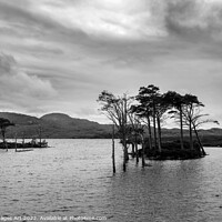 Buy canvas prints of Loch Assynt in North West Highlands, Scotland, UK by Delphimages Art