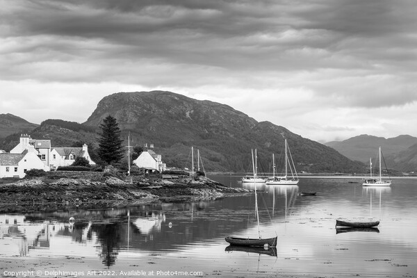 Loch Carron and the village of Plockton Picture Board by Delphimages Art