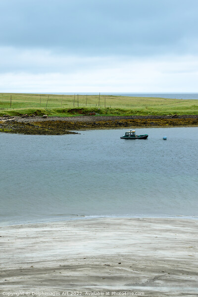 Isle of Skye, An Corran beach Picture Board by Delphimages Art