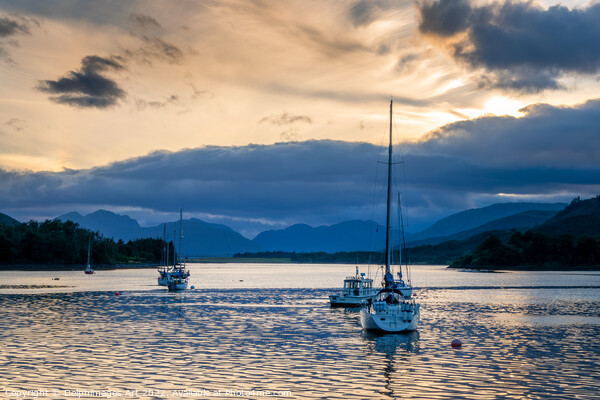 Sailing boats at sunset at Loch Leven near Glencoe Picture Board by Delphimages Art