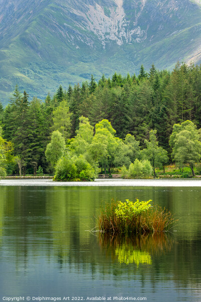 Lochan near Glencoe, Highlands of Scotland Picture Board by Delphimages Art