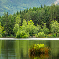 Buy canvas prints of Lochan near Glencoe, Highlands of Scotland by Delphimages Art
