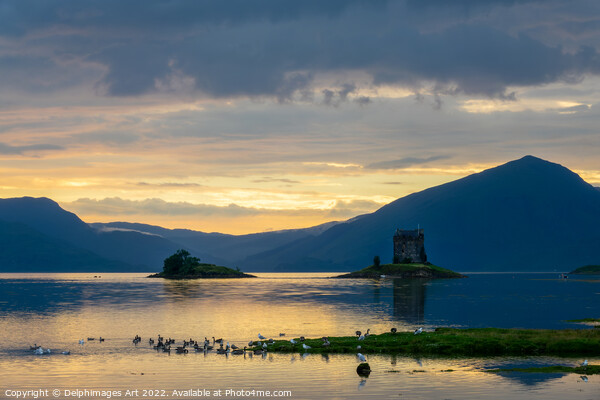 Castle Stalker on Loch Laich at sunset, Argyll, Sc Picture Board by Delphimages Art