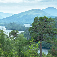 Buy canvas prints of Glen Affric view point panorama on the Highlands by Delphimages Art