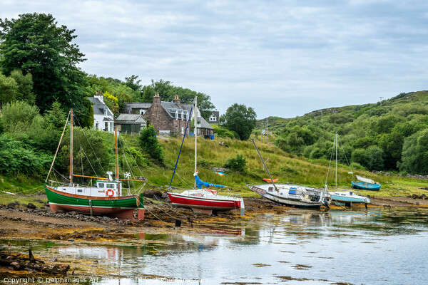 Fishing boats, Scottish Highlands Picture Board by Delphimages Art
