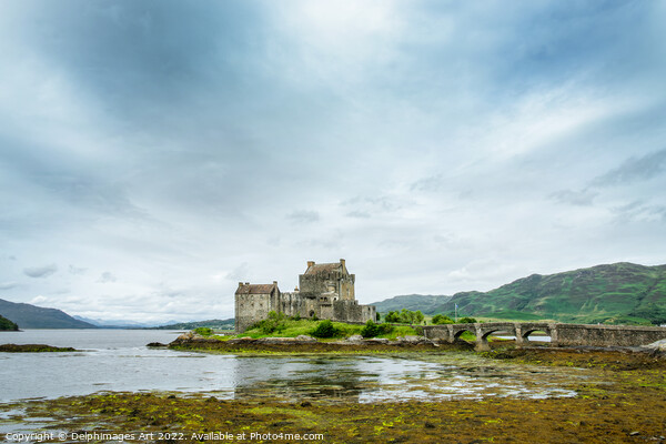 Eilean Donan castle, Scottish Highlands Picture Board by Delphimages Art