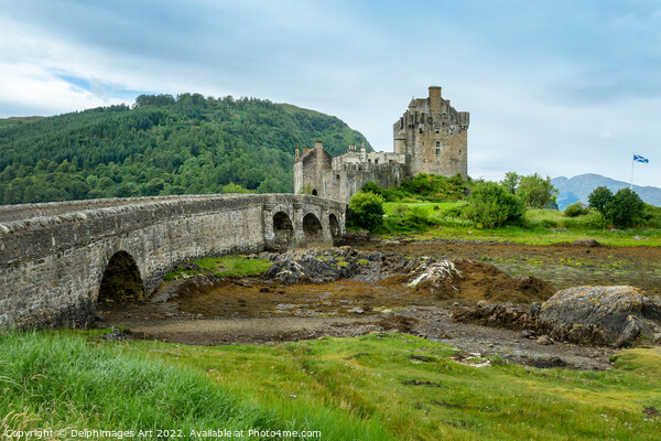 Eilean Donan castle, Scotland Picture Board by Delphimages Art