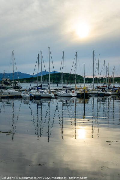 Boats reflection in the harbor of Oban Picture Board by Delphimages Art