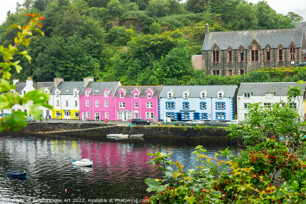 Colorful houses in Portree, Isle of Skye Picture Board by Delphimages Art