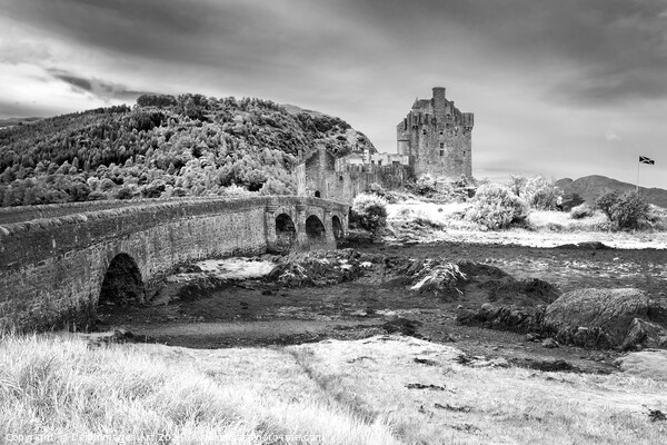 Eilean Donan castle, Highlands, Scotland Picture Board by Delphimages Art