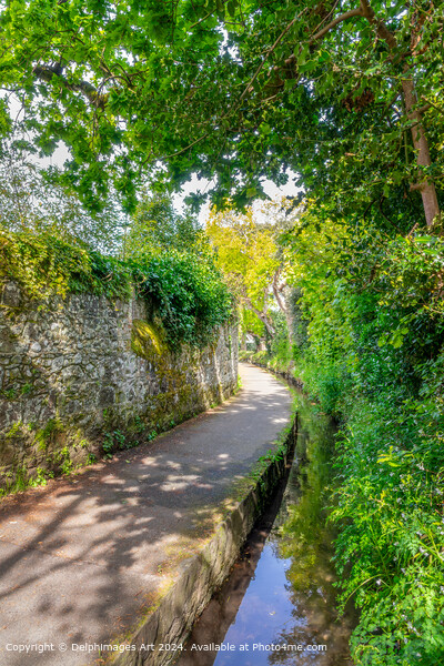 The Water Lanes, in St Peter Port, Guernsey Picture Board by Delphimages Art
